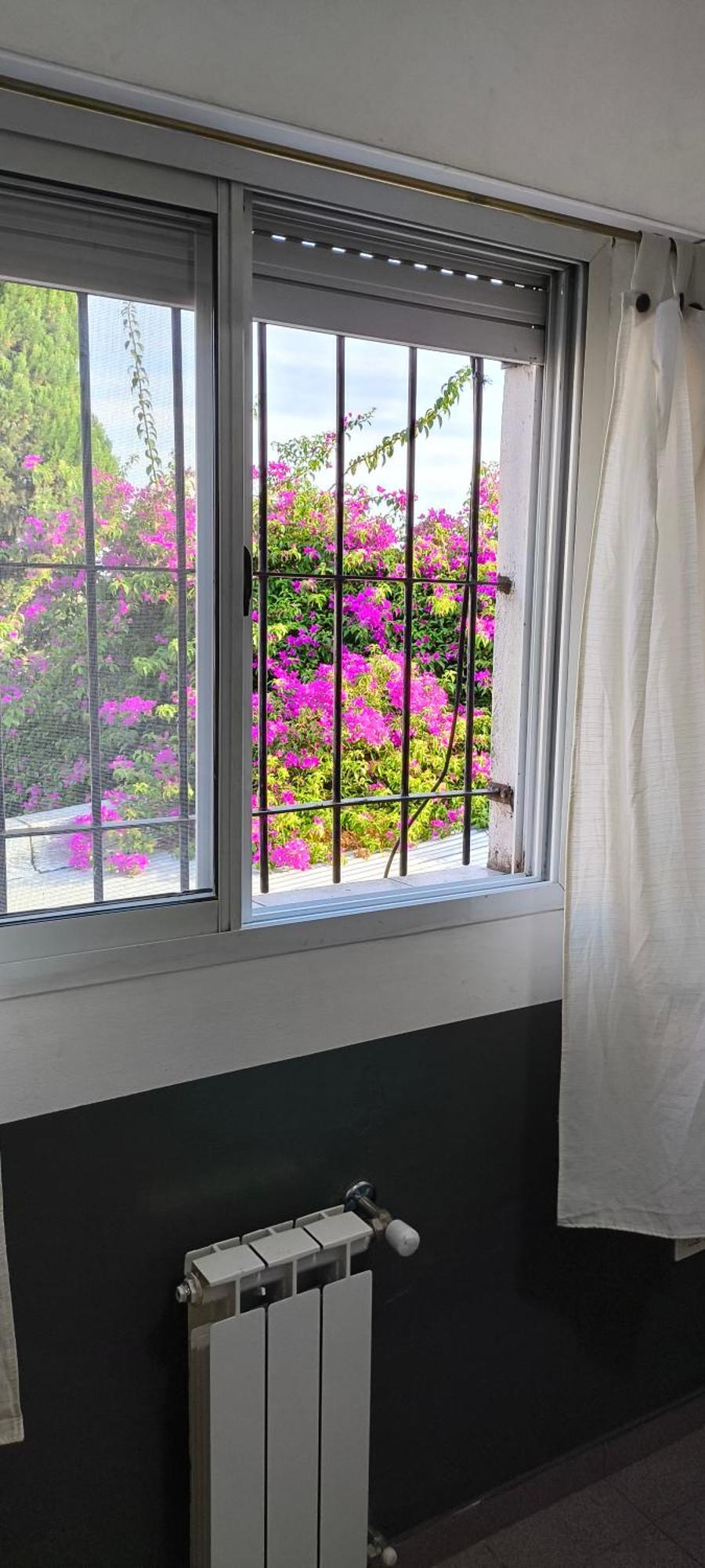 Centro II Apartment Venado Tuerto Ngoại thất bức ảnh